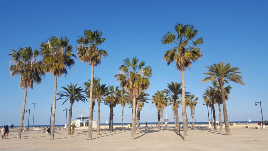 Strand sfeerbeeld