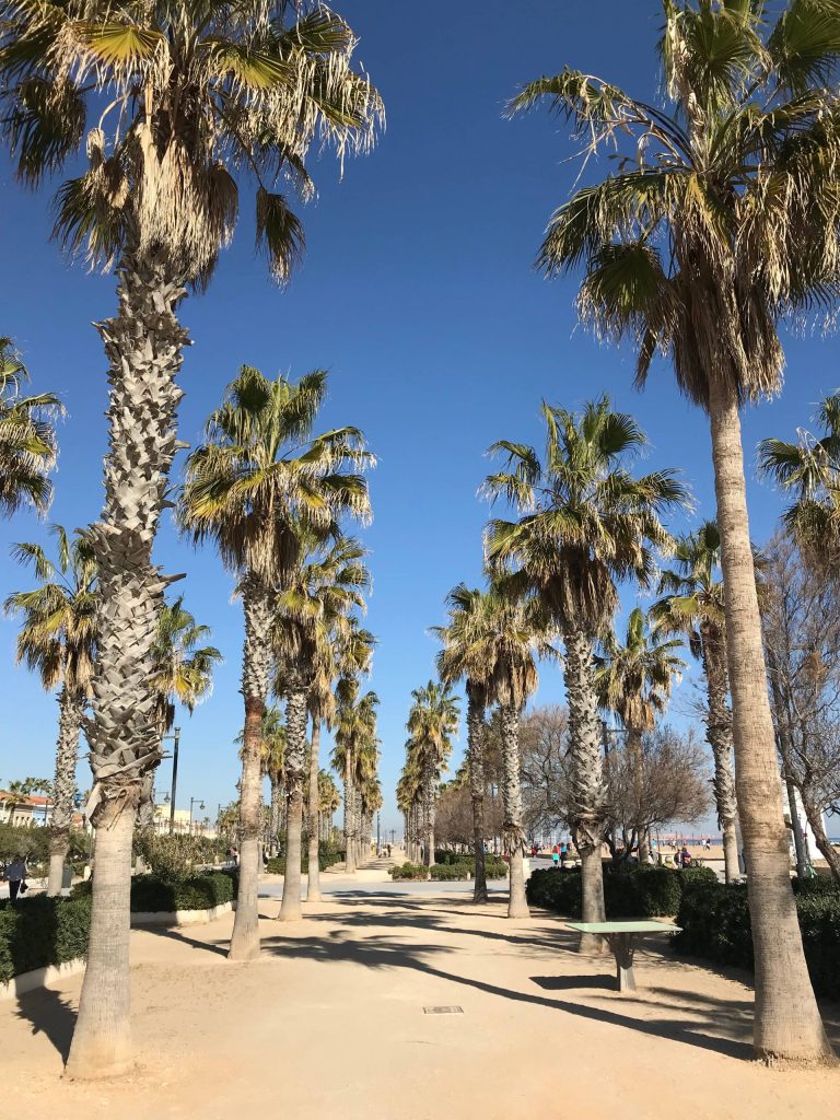 strand Valencia van Malvarrosa